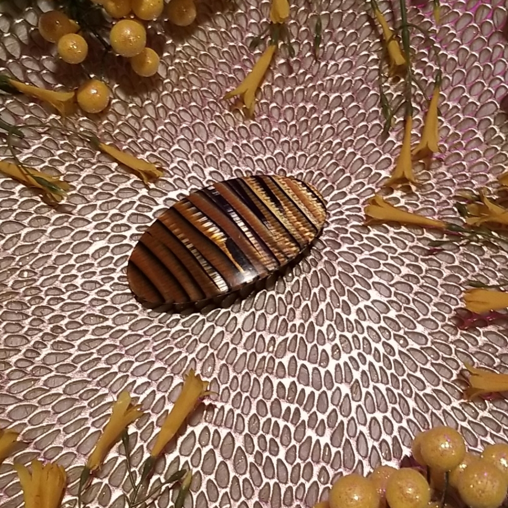 NWOT / Unique Hair Barrette / Oval